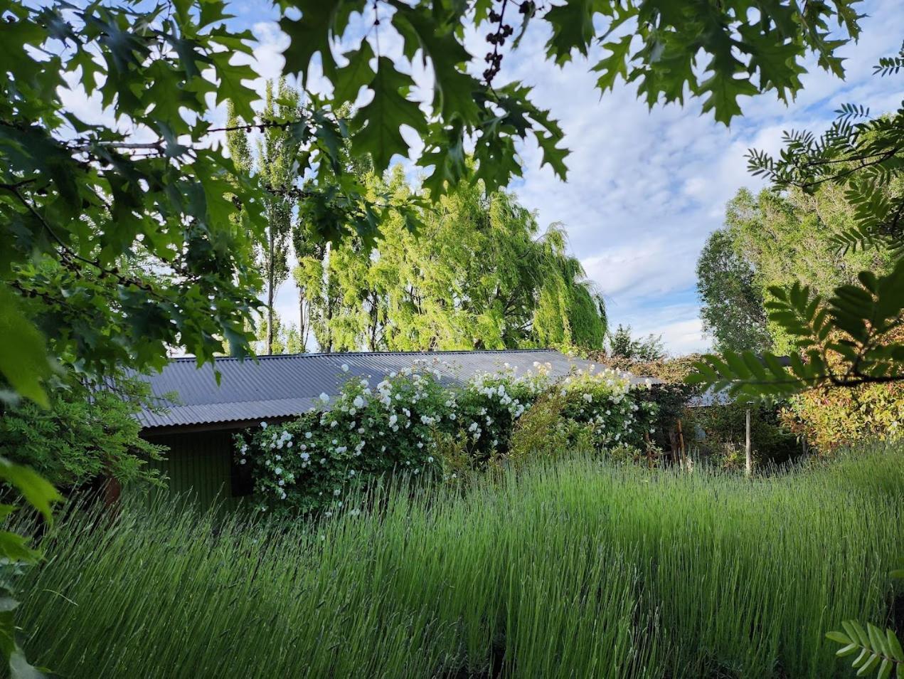 Cabanas La Chacra 엘 칼라파테 외부 사진